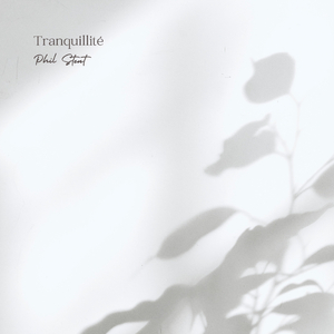 污污污污的视频
